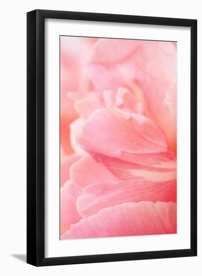 Pink Peony III-Karyn Millet-Framed Photographic Print