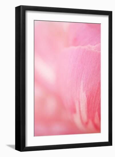 Pink Peony IV-Karyn Millet-Framed Photographic Print