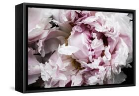 Pink Peony Passion II-Irena Orlov-Framed Stretched Canvas