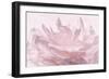 Pink Peony Petals III-Cora Niele-Framed Photographic Print