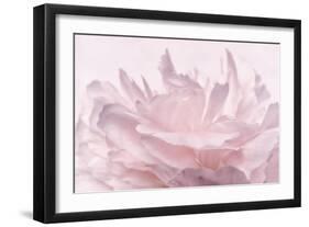 Pink Peony Petals III-Cora Niele-Framed Photographic Print