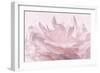 Pink Peony Petals III-Cora Niele-Framed Photographic Print