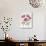 Pink Peony Tulips-Sally Crosthwaite-Giclee Print displayed on a wall