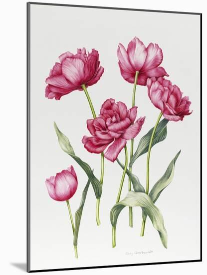 Pink Peony Tulips-Sally Crosthwaite-Mounted Giclee Print