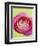 Pink Peony-Clive Nichols-Framed Photographic Print