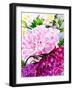 Pink Peony-Neela Pushparaj-Framed Giclee Print