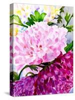 Pink Peony-Neela Pushparaj-Stretched Canvas