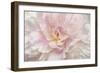 Pink Peony-Cora Niele-Framed Giclee Print