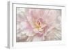 Pink Peony-Cora Niele-Framed Giclee Print