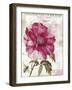 Pink Peony-Color Bakery-Framed Giclee Print