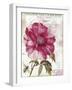 Pink Peony-Color Bakery-Framed Giclee Print