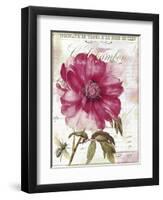 Pink Peony-Color Bakery-Framed Premium Giclee Print