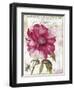 Pink Peony-Color Bakery-Framed Premium Giclee Print