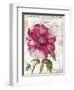 Pink Peony-Color Bakery-Framed Premium Giclee Print