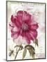 Pink Peony-Color Bakery-Mounted Premium Giclee Print