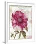 Pink Peony-Color Bakery-Framed Giclee Print