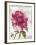 Pink Peony-Color Bakery-Framed Giclee Print