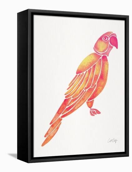 Pink Perched Parrot-Cat Coquillette-Framed Stretched Canvas