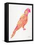 Pink Perched Parrot-Cat Coquillette-Framed Stretched Canvas