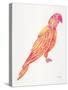Pink Perched Parrot-Cat Coquillette-Stretched Canvas