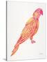 Pink Perched Parrot-Cat Coquillette-Stretched Canvas