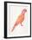 Pink Perched Parrot-Cat Coquillette-Framed Art Print