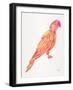 Pink Perched Parrot-Cat Coquillette-Framed Art Print