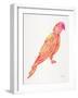 Pink Perched Parrot-Cat Coquillette-Framed Art Print