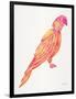 Pink Perched Parrot-Cat Coquillette-Framed Art Print