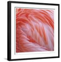 Pink Perfection 2-Joy Doherty-Framed Giclee Print