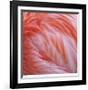 Pink Perfection 2-Joy Doherty-Framed Giclee Print