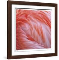 Pink Perfection 2-Joy Doherty-Framed Giclee Print