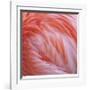 Pink Perfection 2-Joy Doherty-Framed Giclee Print