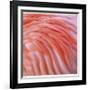 Pink Perfection 3-Joy Doherty-Framed Giclee Print