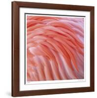 Pink Perfection 3-Joy Doherty-Framed Giclee Print