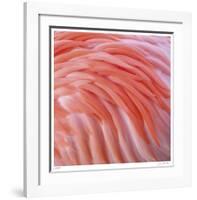 Pink Perfection 3-Joy Doherty-Framed Giclee Print