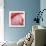 Pink Perfection 4-Joy Doherty-Giclee Print displayed on a wall