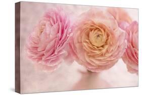 Pink Persian Buttercup Bouquet-Cora Niele-Stretched Canvas