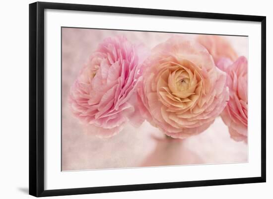 Pink Persian Buttercup Bouquet-Cora Niele-Framed Photographic Print