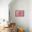 Pink Persian Buttercup Flower-Cora Niele-Framed Stretched Canvas displayed on a wall