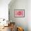 Pink Persian Buttercup Flower-Cora Niele-Framed Photographic Print displayed on a wall