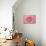 Pink Persian Buttercup Flower-Cora Niele-Mounted Photographic Print displayed on a wall