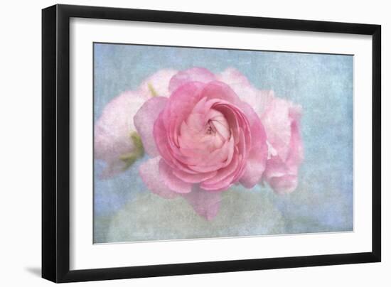 Pink Persian Buttercup Still Life-Cora Niele-Framed Photographic Print