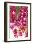 Pink Petals Abstract II-Karyn Millet-Framed Photographic Print