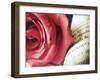 Pink Petals and Words-Carolina Hernandez-Framed Photographic Print