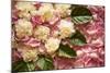 Pink Petals I-Karyn Millet-Mounted Photographic Print