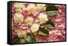 Pink Petals I-Karyn Millet-Framed Stretched Canvas