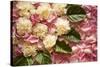 Pink Petals I-Karyn Millet-Stretched Canvas