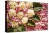 Pink Petals I-Karyn Millet-Stretched Canvas