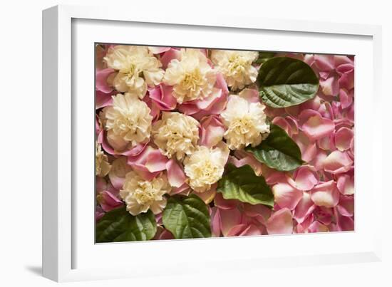 Pink Petals I-Karyn Millet-Framed Photographic Print